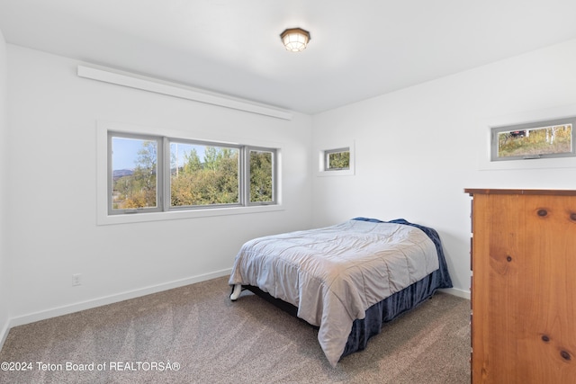 604 Falcon Dr, Alpine, WY 83128 - bedroom with carpet flooring and baseboards