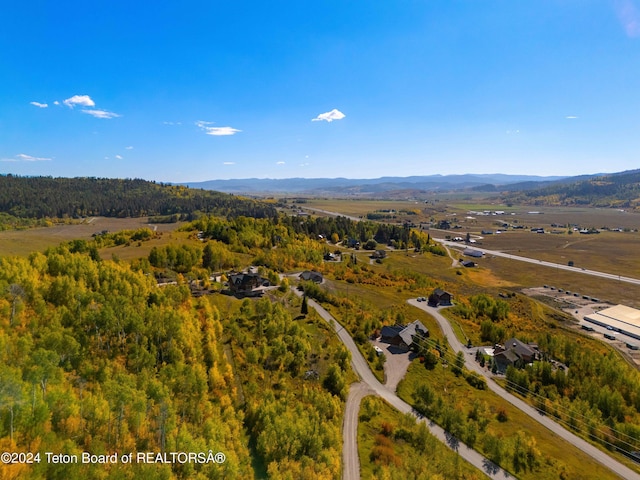 604 Falcon Dr, Alpine, WY 83128 - birds eye view of property with a wooded view and a mountain view