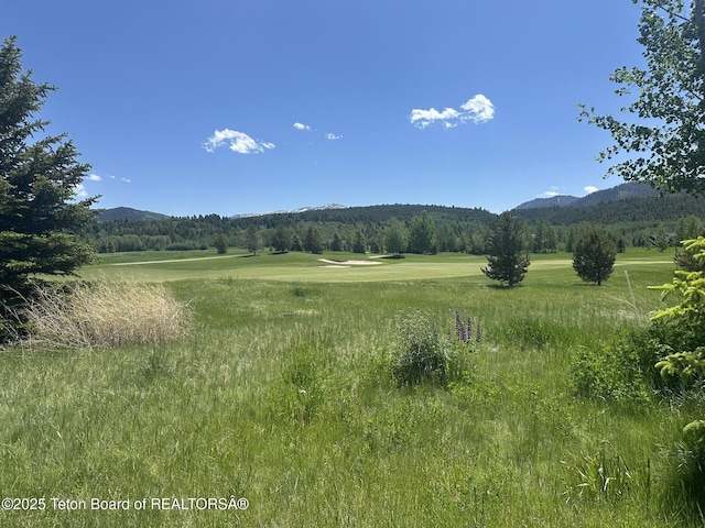 37 Rammell Rd, Victor, ID 83455 - mountain view featuring a heavily wooded area