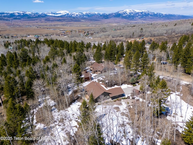 332 N Forest Dr, Star Valley Ranch, WY 83127 - bird's eye view with a mountain view