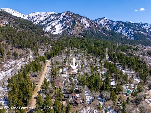 332 N Forest Dr, Star Valley Ranch, WY 83127 - mountain view featuring a forest view