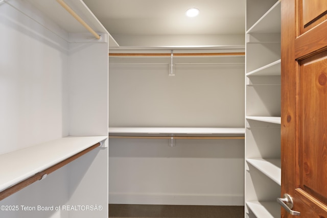 332 N Forest Dr, Star Valley Ranch, WY 83127 - view of walk in closet