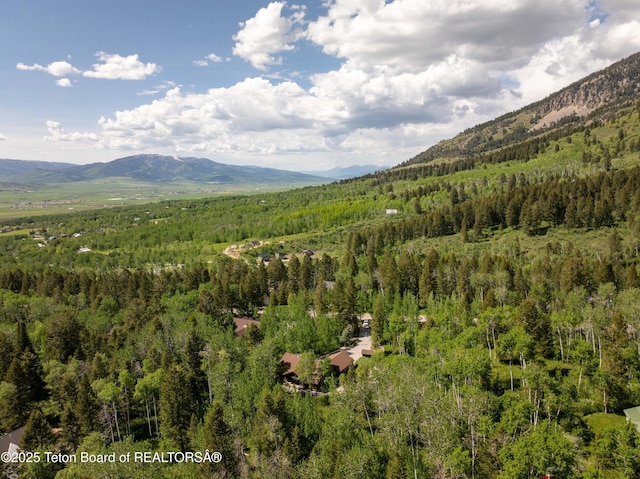 332 N Forest Dr, Star Valley Ranch, WY 83127 - mountain view with a heavily wooded area