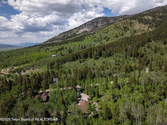 332 N Forest Dr, Star Valley Ranch, WY 83127 - view of mountain background featuring a heavily wooded area