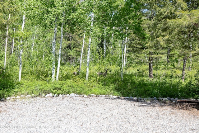 332 N Forest Dr, Star Valley Ranch, WY 83127 - view of local wilderness