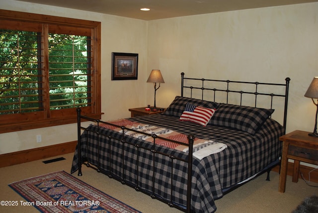 4053 S Adams Rd, Driggs, ID 83422 - view of carpeted bedroom