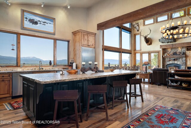 4053 S Adams Rd, Driggs, ID 83422 - kitchen with appliances with stainless steel finishes, a mountain view, a high ceiling, light wood-style flooring, and a center island