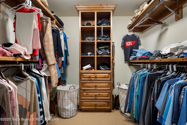4053 S Adams Rd, Driggs, ID 83422 - spacious closet with carpet flooring