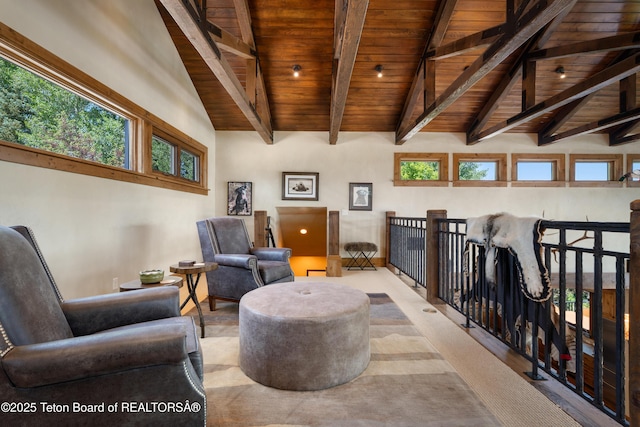 4053 S Adams Rd, Driggs, ID 83422 - sitting room featuring wood ceiling and healthy amount of natural light