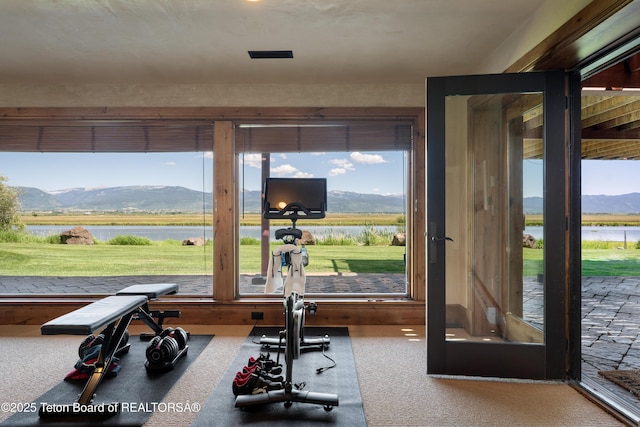 4053 S Adams Rd, Driggs, ID 83422 - exercise room with carpet