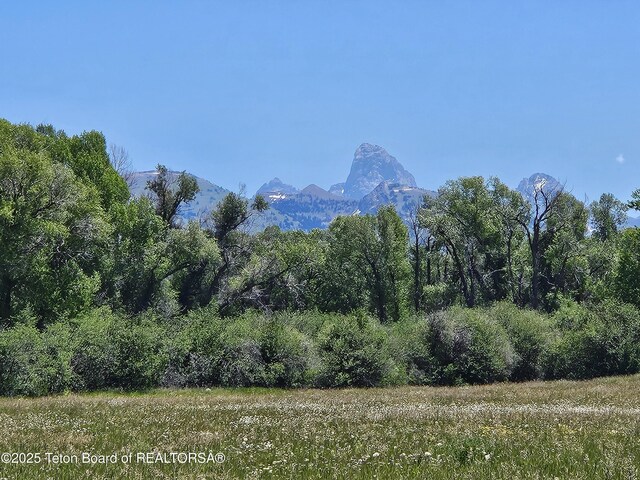 574 Peaked Ln, Tetonia, ID 83452 - photo 1