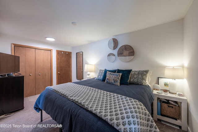 1710 E Porcupine Rd, Jackson, WY 83001 - bedroom with carpet floors and two closets