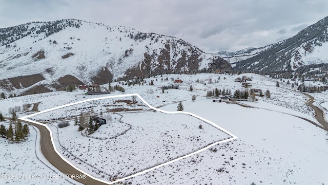 1710 E Porcupine Rd, Jackson, WY 83001 - view of mountain background