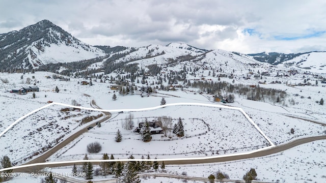 1710 E Porcupine Rd, Jackson, WY 83001 - view of mountain backdrop