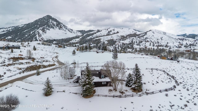 1710 E Porcupine Rd, Jackson, WY 83001 - view of mountain background