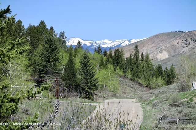 1710 E Porcupine Rd, Jackson, WY 83001 - view of mountain background
