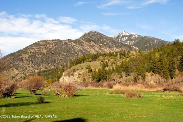 L63BLK4 Cutthroat Run, Irwin, ID 83428
