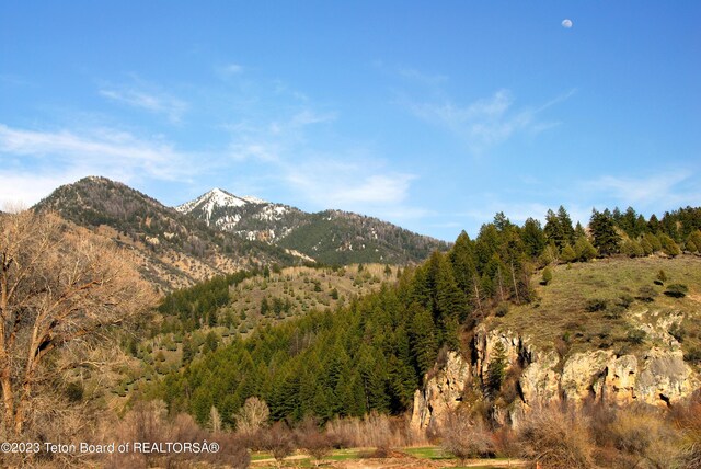 L63BLK4 Cutthroat Run, Irwin, ID 83428