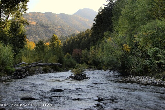 L63BLK4 Cutthroat Run, Irwin, ID 83428