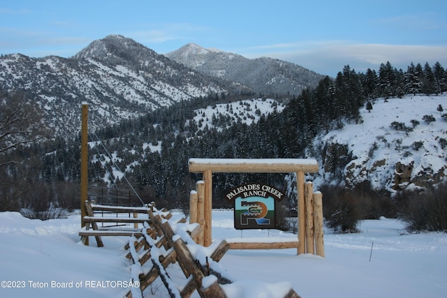 L63BLK4 Cutthroat Run, Irwin, ID 83428