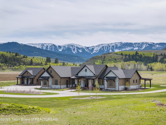 1070 Horseshoe Ln, Driggs, ID 83422 - view of mountain background