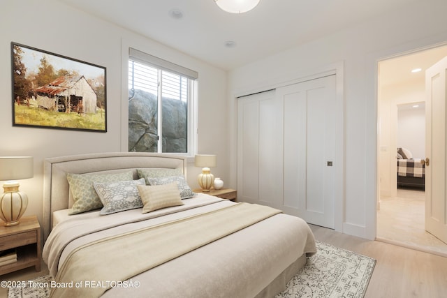 1070 Horseshoe Ln, Driggs, ID 83422 - bedroom featuring light wood finished floors, a closet, and baseboards