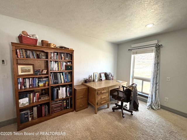 125 Wagon Rut Ln, Auburn, WY 83111 - home office featuring a textured ceiling, light carpet, and baseboards