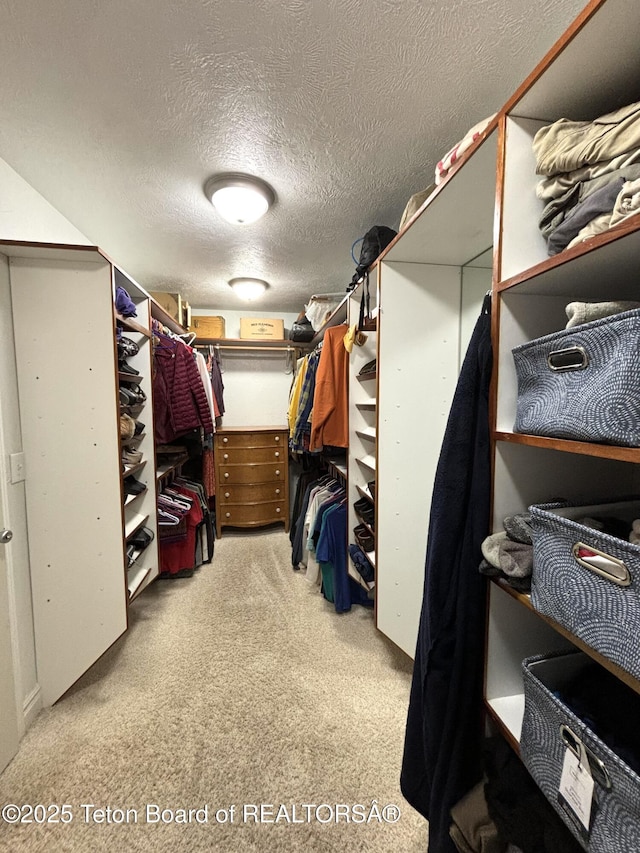125 Wagon Rut Ln, Auburn, WY 83111 - walk in closet featuring carpet