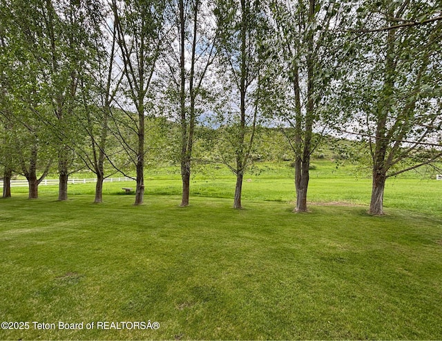 125 Wagon Rut Ln, Auburn, WY 83111 - view of grassy yard