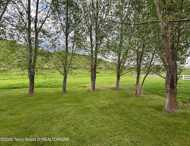 125 Wagon Rut Ln, Auburn, WY 83111 - view of yard