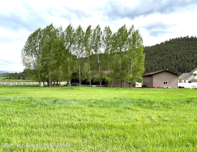 125 Wagon Rut Ln, Auburn, WY 83111 - view of yard with a view of trees