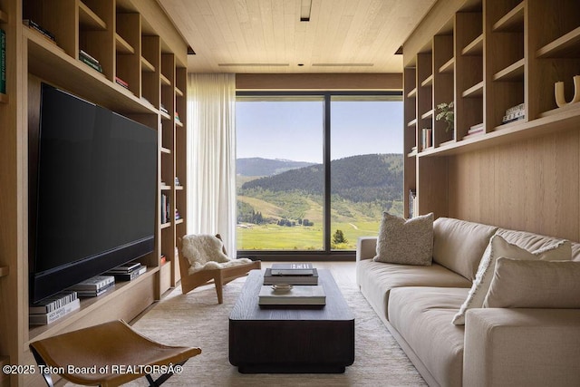 2205 W Pemmican Rd, Jackson, WY 83001 - living area featuring a mountain view and wooden ceiling
