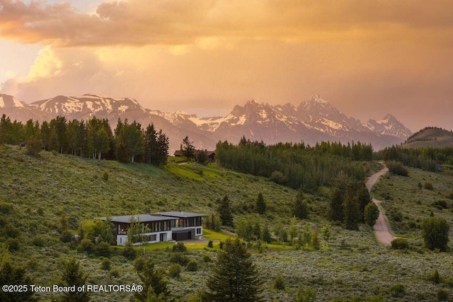 2205 W Pemmican Rd, Jackson, WY 83001 - view of mountain background featuring a forest