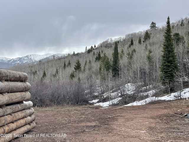 777 Richardson Creek Rd, Afton, WY 83110 - view of mountain backdrop