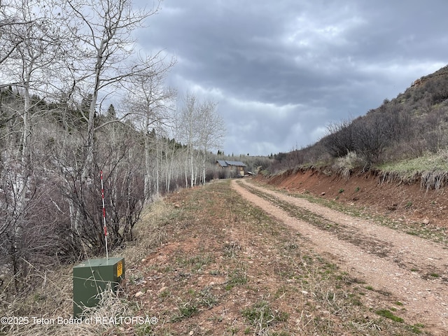 777 Richardson Creek Rd, Afton, WY 83110 - view of road