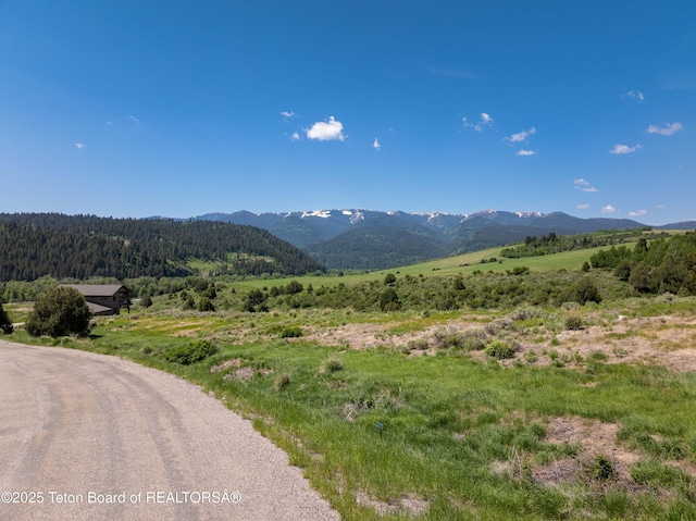 LOT4 Trail View Rd, Irwin, ID 83428