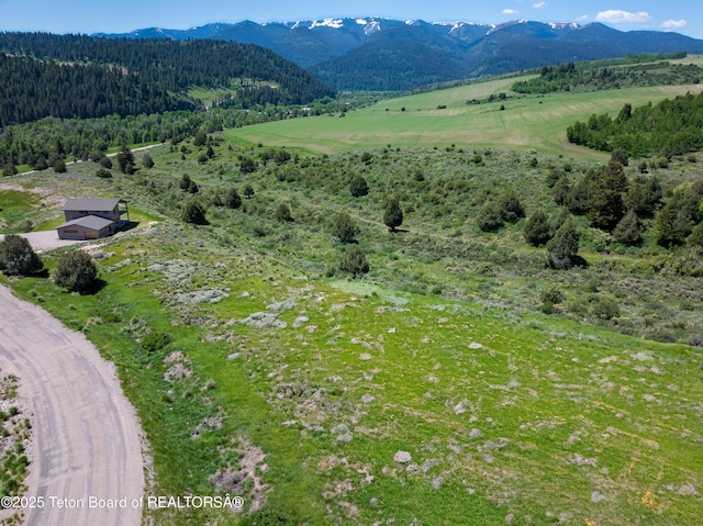 LOT4 Trail View Rd, Irwin, ID 83428
