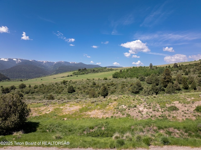 LOT4 Trail View Rd, Irwin, ID 83428