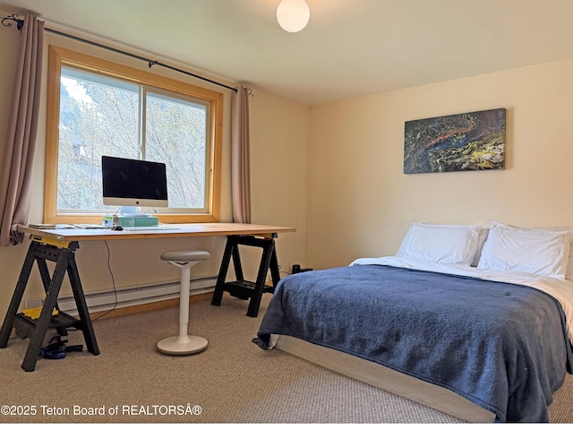 335 E Hansen Ave, Jackson, WY 83001 - bedroom featuring carpet flooring and an office area