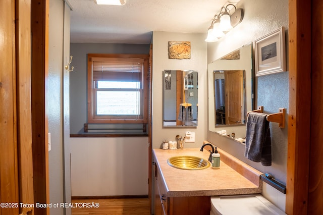 362 Snowmobile Ln, Daniel, WY 83115 - bathroom with vanity and wood finished floors