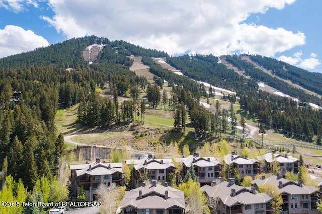 551 Snow King Loop Unit 512, Jackson, WY 83001 - photo 21