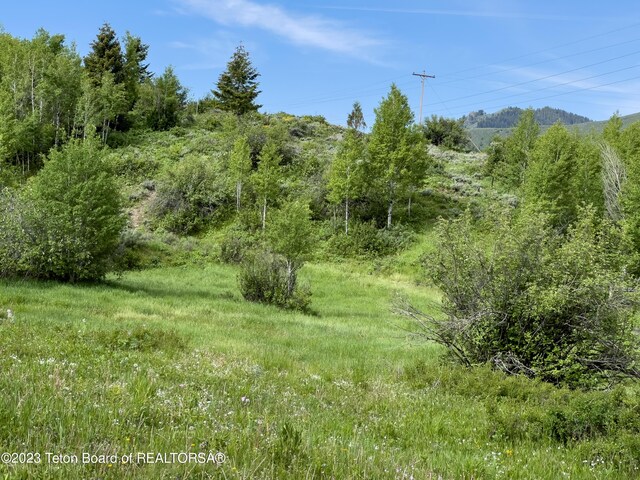 Rodeo Rd, Jackson, WY 83001 - photo 3