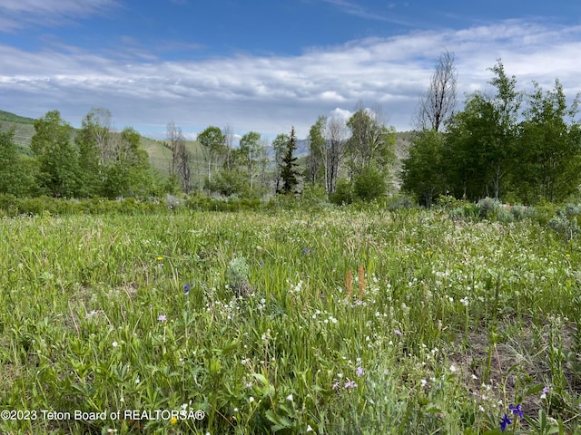 Rodeo Rd, Jackson, WY 83001 - photo 5