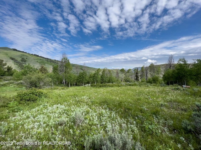 Rodeo Rd, Jackson, WY 83001 - photo 6