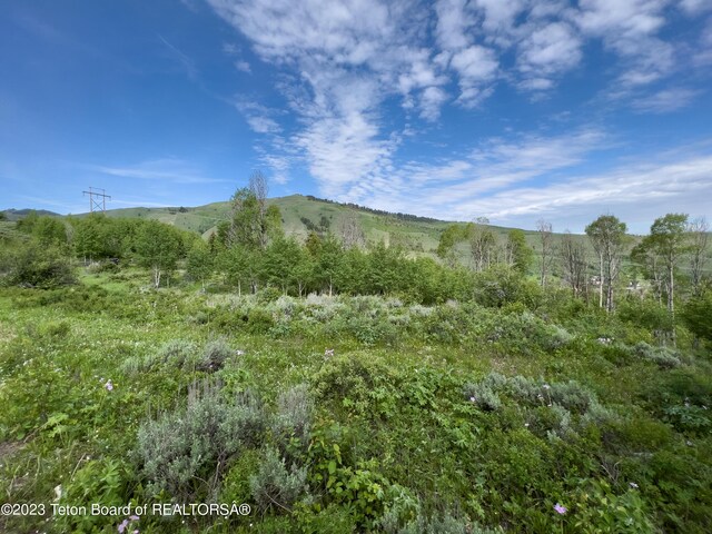 Rodeo Rd, Jackson, WY 83001 - photo 7