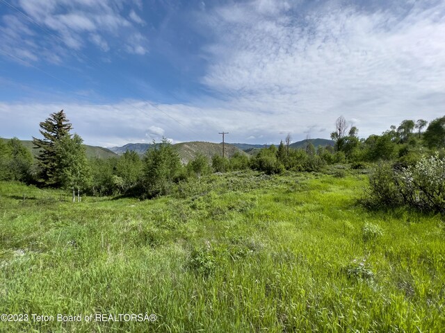 Rodeo Rd, Jackson, WY 83001 - photo 9