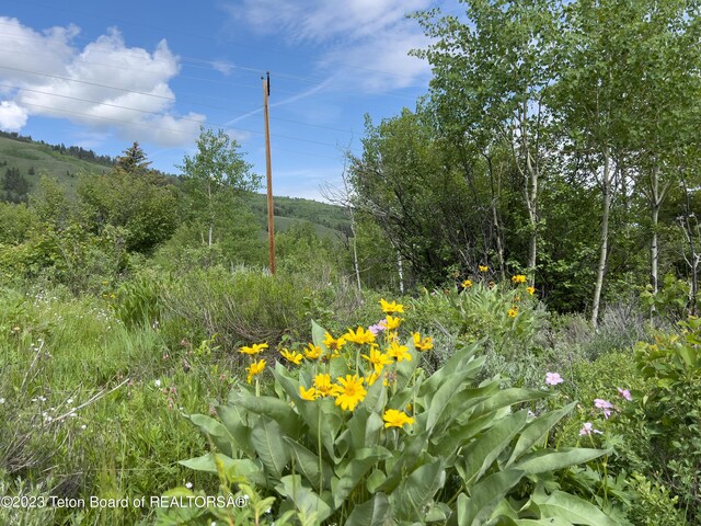 Rodeo Rd, Jackson, WY 83001 - photo 11