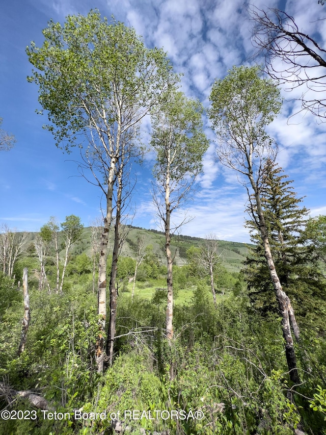 Rodeo Rd, Jackson, WY 83001 - photo 13