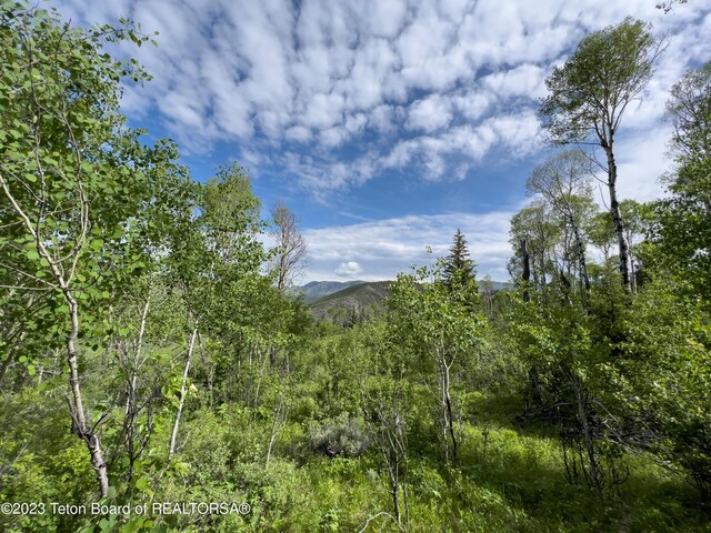 Rodeo Rd, Jackson, WY 83001 - photo 14
