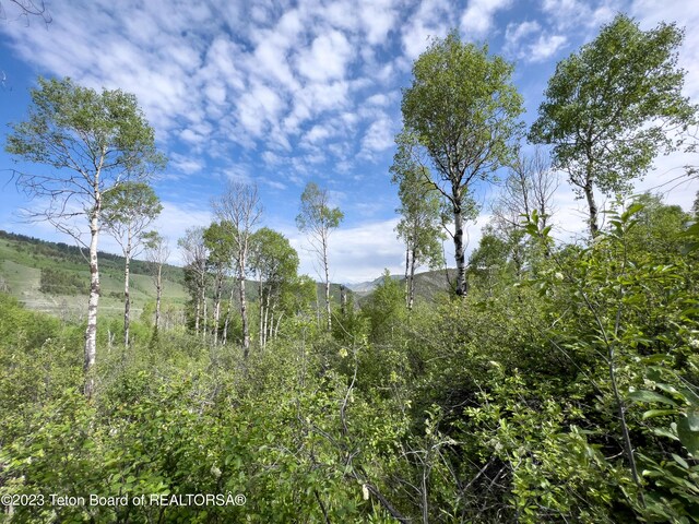 Rodeo Rd, Jackson, WY 83001 - photo 16